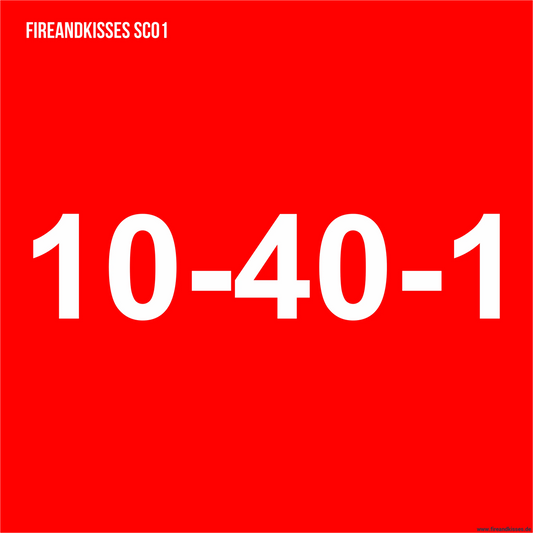 KFZ Schriftzug Funkrufname BOS Feuerwehr Aufkleber Konturgeschnitten Hochleistungsfolie